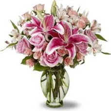 Pink explosion (Curated composition)
